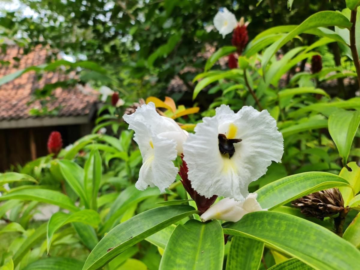 Villa Kayu Yogyakarta Eksteriør bilde